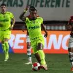 palmeiras:-como-ficou-lideranca-do-grupo-e-geral-do-paulista-–-palmeiras-online