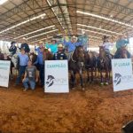 aracatuba-recebe-a-3a-etapa-do-campeonato-paulista-de-ranch-sorting-e-team-pening-–-hojemais-de-aracatuba-sp-–-hojemais