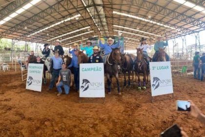 aracatuba-recebe-a-3a-etapa-do-campeonato-paulista-de-ranch-sorting-e-team-pening-–-hojemais-de-aracatuba-sp-–-hojemais