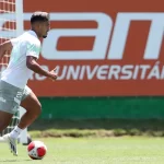 vai-ganhar-confianca?-gabriel-menino-marca-seu-1o-gol-pelo-palmeiras-em-2024-–-palmeiras-online