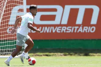 vai-ganhar-confianca?-gabriel-menino-marca-seu-1o-gol-pelo-palmeiras-em-2024-–-palmeiras-online