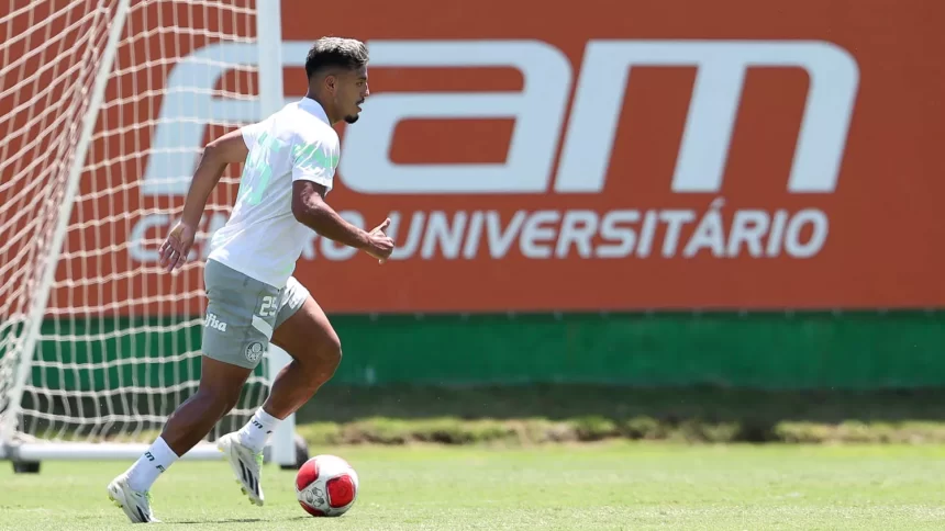 vai-ganhar-confianca?-gabriel-menino-marca-seu-1o-gol-pelo-palmeiras-em-2024-–-palmeiras-online