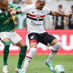 sao-paulo-x-palmeiras-e-o-jogo!-informacoes-e-palpites-para-rio-e-sao-paulo-–-uol-esporte