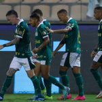 palmeiras-ve-reforcos-em-niveis-diferentes-na-temporada,-mas-peca-importante-segue-sem-previsao-de-chegada-–-trivela