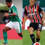 sao-paulo-e-palmeiras-podem-perder-jogadores-em-mata-mata-do-paulistao-–-terra