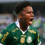 palmeiras:-ultima-derrota-foi-em-novembro-de-2023-–-palmeiras-online