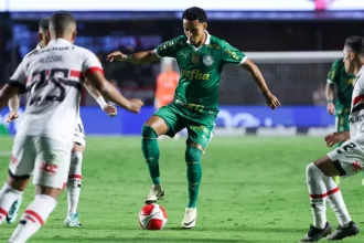 quando-e-o-proximo-jogo-do-palmeiras?-–-palmeiras-online