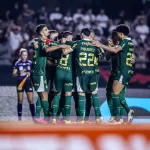 palmeiras-estuda-ir-a-justica-contra-diretor-do-sao-paulo-–-jogada-10