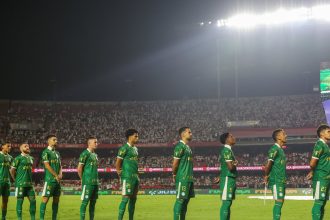 palmeiras-tem-desempenho-decepcionante-contra-times-do-brasileirao-serie-a-em-2024-–-torcedores.com