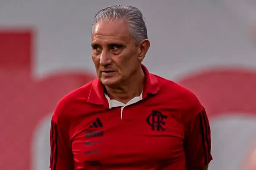 para-festejar-ainda-mais-apos-o-titulo:-flamengo-fecha-com-novo-reforco-para-temporada-de-2024-–-portal-da-torcida