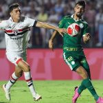 confusao-entre-spfc-e-palmeiras-pode-interferir-nos-direitos-de-transmissao-do-brasileirao-serie-a-–-torcedores.com