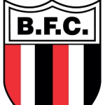 botafogo-se-une-ao-ribeirao-fut7-e-nova-modalidade-do-tricolor-ja-estreia-na-copa-america-de-clubes-–-botafogo-futebol-sa