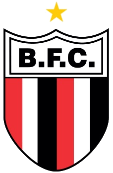 botafogo-se-une-ao-ribeirao-fut7-e-nova-modalidade-do-tricolor-ja-estreia-na-copa-america-de-clubes-–-botafogo-futebol-sa