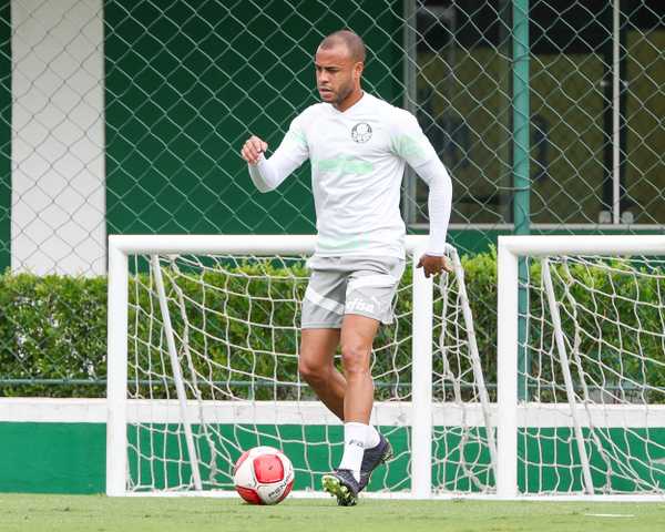 palmeiras-treina-para-ultima-rodada-visando-garantir-lideranca-geral-do-paulista-–-globo