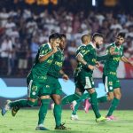 velloso-nao-descarta-palmeiras-campeao-invicto-do-paulistao:-“tem-tudo-para-ser”-–-torcedores.com