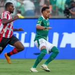 palmeiras-tem-invencibilidade-mais-longa-entre-clubes-da-serie-a-–-palmeiras-online