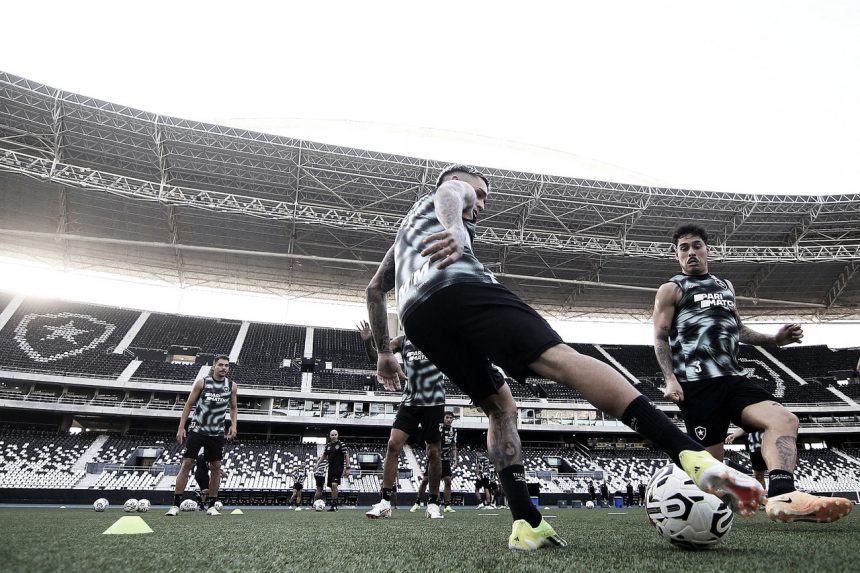 gols-e-melhores-momentos-para-botafogo-x-aurora-pela-copa-libertadores-(6-0)-–-vavel.com