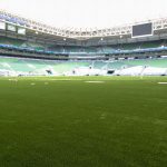 material-para-gramado-do-allianz-parque-fica-‘preso’-e-nao-tem-previsao-para-chegar-ao-estadio-do-palmeiras-–-espncom.br