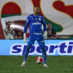 palmeiras-aposta-em-velhos-protagonistas-para-garantir-recorde-–-lance!