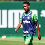 palmeiras-continua-preperacao-para-quartas-do-paulista,-e-estevao-comenta-adaptacao:-‘aprendi-bastante’-–-nosso-palestra