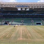 allianz-parque-liberado-na-sexta-feira?-veja-como-esta-o-gramado-do-estadio-do-palmeiras-–-globo.com