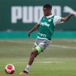 palmeiras-nao-promoveu-estreias-profissionais-de-jogadores-da-base-no-paulistao-–-nosso-palestra