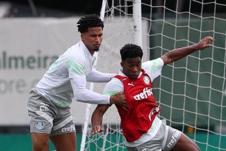 zagueiro-do-palmeiras-pode-estrear-como-titular-na-selecao-–-lance!