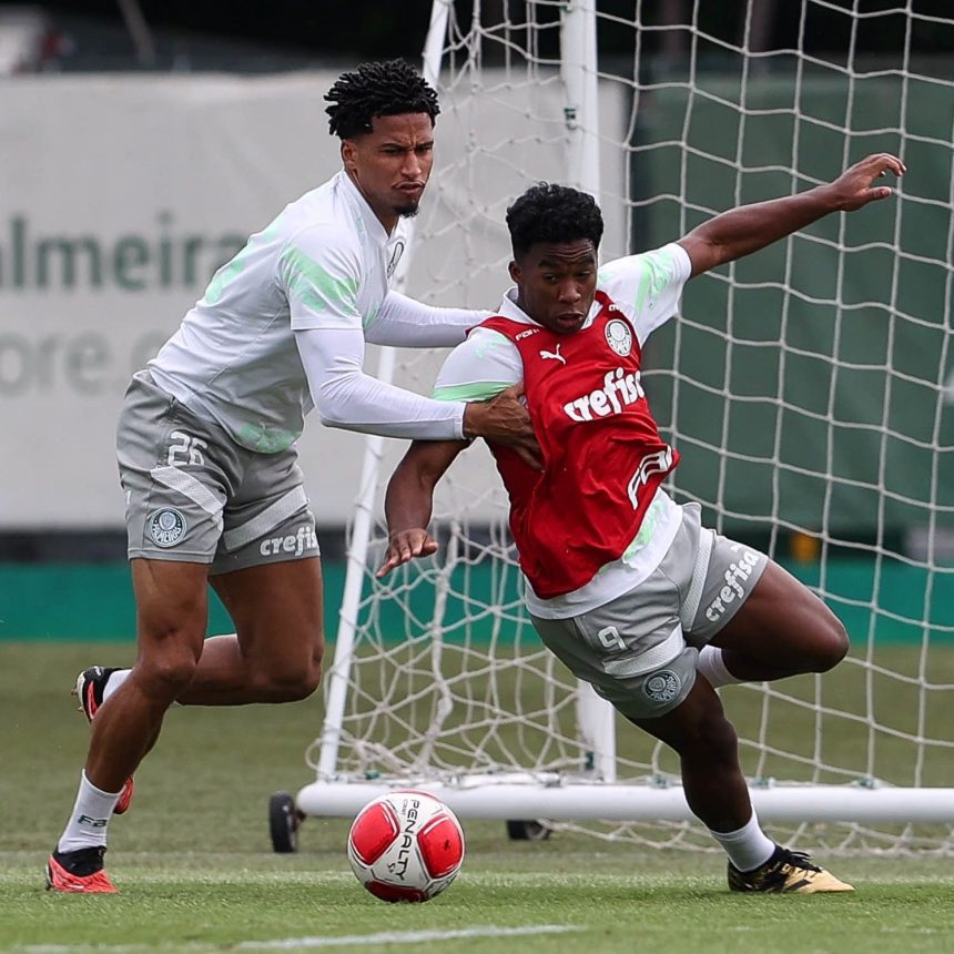 zagueiro-do-palmeiras-pode-estrear-como-titular-na-selecao-–-lance!