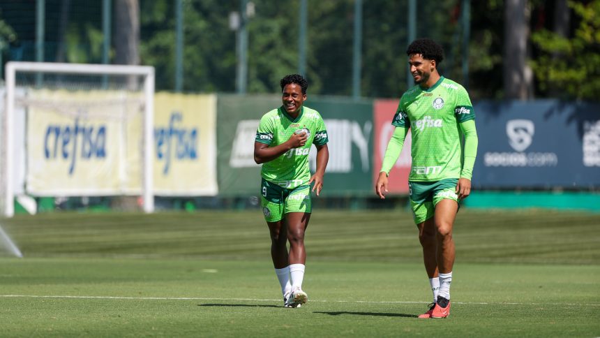 palmeiras-encara-ponte-preta-e-busca-classificacao-as-semifinais-do-paulistao-–-istoe