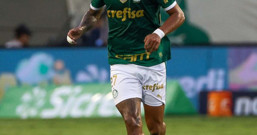 richard-rios-descarta-favoritismo-do-palmeiras-no-paulista-e-agradece-torcida-de-barueri-–-terra