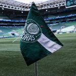 palmeiras-agenda-teste-para-gramado-reformado-do-allianz-com-time-sub-20-–-uol-esporte