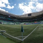 palmeiras-faz-primeiro-teste-no-gramado-do-allianz-parque-e-ja-marca-novo-treino-no-estadio-–-espncom.br