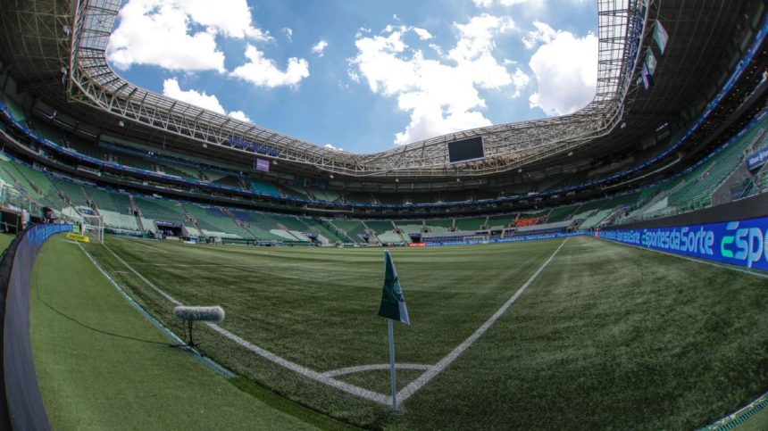 palmeiras-faz-primeiro-teste-no-gramado-do-allianz-parque-e-ja-marca-novo-treino-no-estadio-–-espncom.br