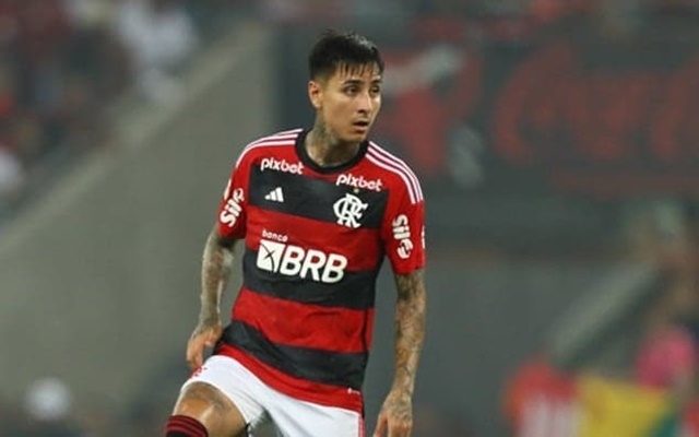 erick-pulgar-e-cortado-da-selecao-chilena-por-lesao-–-coluna-do-fla