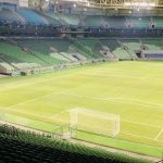 palmeiras-faz-primeiro-treino-no-allianz-e-marca-teste-final-para-terca-–-uol-esporte