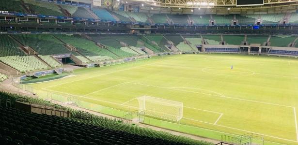 palmeiras-faz-primeiro-treino-no-allianz-e-marca-teste-final-para-terca-–-uol-esporte