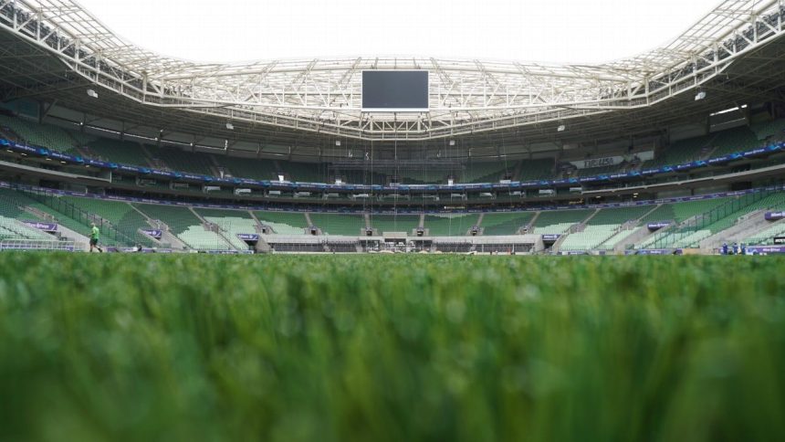 laboratorio-credenciado-pela-fifa-agenda-teste-no-gramado-do-allianz-para-liberar-jogos-do-palmeiras-na-libertadores-–-espncom.br