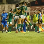 ingressos-para-palmeiras-x-botafogo-pelo-brasileirao-feminino-ja-estao-a-venda-–-palmeiras-online