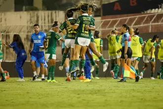 ingressos-para-palmeiras-x-botafogo-pelo-brasileirao-feminino-ja-estao-a-venda-–-palmeiras-online