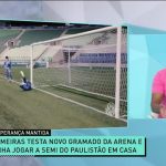 palmeiras-quer-jogar-semifinal-do-paulistao-no-allianz-–-band-jornalismo