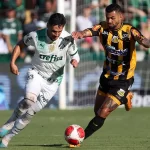 palmeiras-ao-vivo!-veja-onde-assistir-semifinal-do-paulistao-–-palmeiras-online