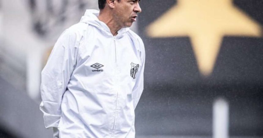 santos-inicia-preparacao-para-semi-do-paulistao-com-duvidas-–-terra