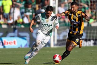 neto-se-antecipa-e-aponta-placar-de-palmeiras-x-novorizontino-–-torcedores.com