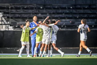 gremio-bate-o-botafogo-e-vence-a-primeira-no-brasileirao-feminino-–-correio-braziliense