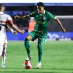 palmeiras-provoca-sao-paulo-nas-redes-sociais-apos-eliminacao-no-paulistao-–-palmeiras-online