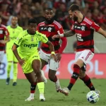 palmeiras-fica-sem-o-allianz-parque-para-enfrentar-o-flamengo-–-palmeiras-online