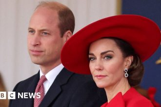 kate-and-william-need-time-and-space-to-heal,-says-former-royal-spokesman-–-bbc.com