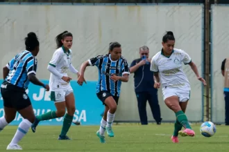 palmeiras-bate-o-gremio-e-volta-a-vencer-no-brasileirao-feminino-–-palmeiras-online