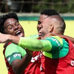 palmeiras-tera-jogo-treino-em-fim-de-semana-de-paralisacao-do-campeonato-brasileiro-–-trivela