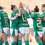 assista-ao-vivo:-sao-jose-x-palmeiras-–-paulista-feminino-–-olimpiada-todo-dia